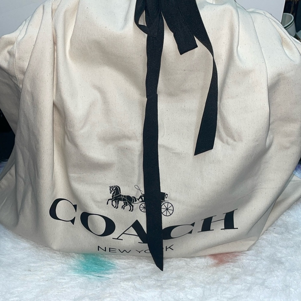 Coach Large Canvas Dust Bag